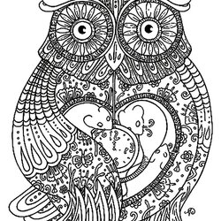 Superb Pin On Coloring Owl Pages Printable Adult