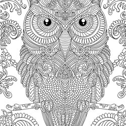 Champion Difficult Owl Coloring Page For Adults Adult Pages Printable Owls Hard Cute Book Books Cool Print