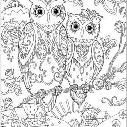 Capital Two Owls Coloring Pages For Adults Just Color Owl Belles