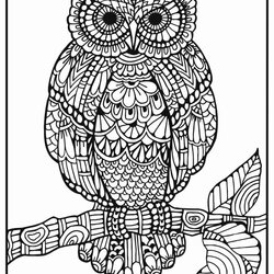 Owl Coloring Book For Adults Fresh Best Images About Pages Mandala Gratis Owls Adult Mindfulness Mandalas Bra