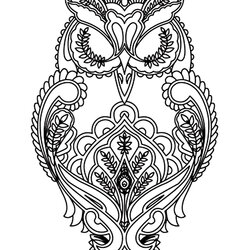 Out Of This World Owl Owls Adult Coloring Pages Difficult