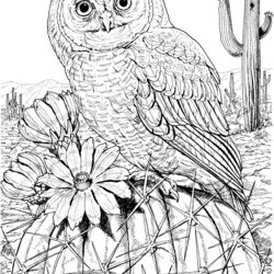 Brilliant Mexican Spotted Owl On Cactus Coloring Page Adult Realistic Owls Sheets Mandala Mandalas