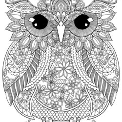 Fantastic Pin On Coloring Books For Adults