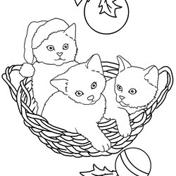 Capital Christmas Coloring Pages Kittens Animals Tree At