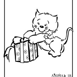 Splendid Christmas Coloring Pages Kittens Animal Jr