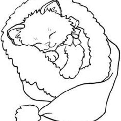 Supreme Images About Coloring Pages On Christmas Cat Kitten Color Kitty