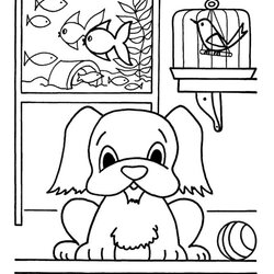 Exceptional House Pets Coloring Page Free Printable Pages For Kids