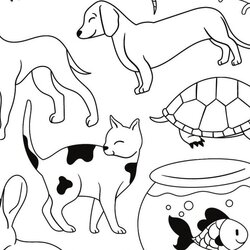 Champion Pets Coloring Pages For Preschoolers Black And White Printable Worksheet