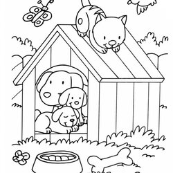 Brilliant Pets In House Coloring Page Free Printable Pages For Kids