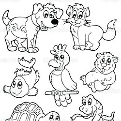 Legit Pet Coloring Pages At Free Printable Pets Book Animals Drawing Stock Color Vector Palace Graphing