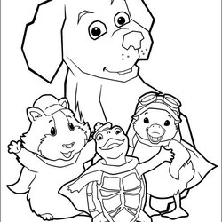 Sublime Download Pets Coloring For Free