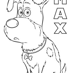 Matchless Pets Coloring Download For Free Secret Pages Life Max Color Kids Print Printable Characters Dogs