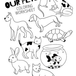Just For Fun Pet Coloring Sheet Sir Playgroup Black And White Pets Printable Worksheet