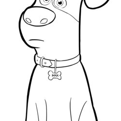 Worthy Pets Coloring Pages Best For Kids Page