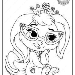 Smashing Coloring Pages Online Pets Disney Download And Printable Palace