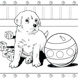 Fine Pets Coloring Pages Best For Kids Pet Dog Printable Page