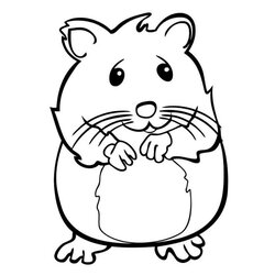 Coloring Pages Of Pets To Print Fishes Cute Pet Page Hamster