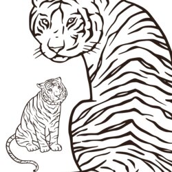 Outstanding Terrific Tiger Coloring Pages For Kids And Adults