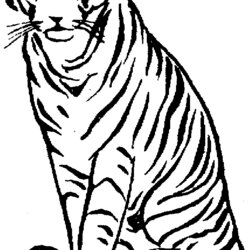 High Quality Free Tiger Coloring Pages Home Bengal Clip Sitting Drawing Animals Print Simple Library