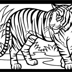 Spiffing Free Printable Tiger Coloring Pages For Kids Color Tigers Sheets Baby Cool
