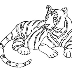 Magnificent Printable Tiger Coloring Pages For Kids Tigers Color Print Children Animals