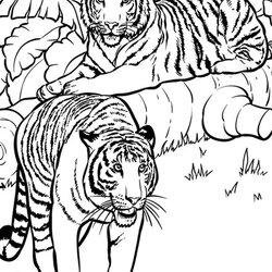 Free Easy To Print Tiger Coloring Pages Friend