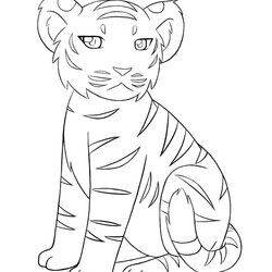 Admirable Tiger Coloring Pages Color Print Cl