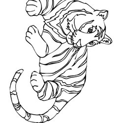 Perfect Tiger Coloring Pages Print Color Template Cl