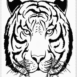 Peerless Realistic Tiger Coloring Pages Drawing Head Tooth Adult Siberian Outline Saber Line Printable Color