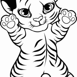 Tiger Coloring Page Home