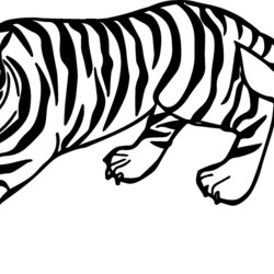 Tips With Coloring Pages For Kids Tiger Session Words In Siberian Free Images