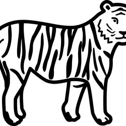Superb Free Printable Tiger Coloring Pages For Kids Tigers