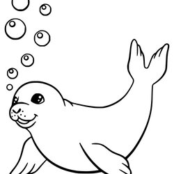 Legit Polar Bear And Seals Coloring Page Free Printable Pages For Kids Seal Swimming