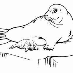 Wizard Coloring Pages Of Seals