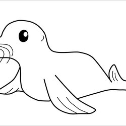Champion Seal Coloring Pages Baby Page