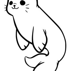 Sterling Monk Seal Coloring Page Free Printable Pages For Kids Cute Baby