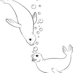 Perfect Seal Coloring Pages Free Talking About Seals Is Truly Endless This