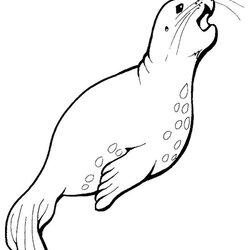 Sublime Free Printable Seals Coloring Pages