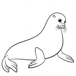 Smashing Seal Line Drawing At Free Download Coloring Seals Pages
