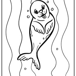 Superlative Seals Activity And Coloring Pages