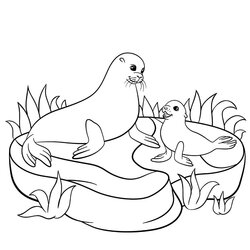 Superior Free Seal Coloring Pages For Download Printable Page