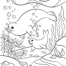 Super Free Seal Coloring Pages For Download Printable Mother Other Page