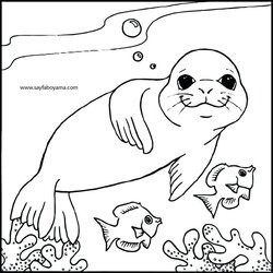 Splendid Navy Seal Coloring Pages At Free Printable Preschool Elephant Seals Monk Animals Kids Colouring Cute
