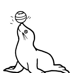 Marvelous Seal Animals Free Printable Coloring Pages Drawing Elephant Circus