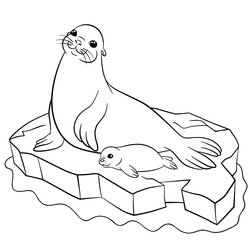 Preeminent Free Seal Coloring Pages For Download Printable Piccolo Page