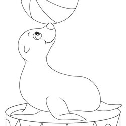 Great Free Seal Coloring Pages For Download Printable Circus Page