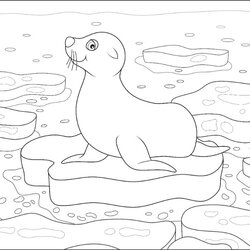Free Seal Coloring Pages For Download Printable Seals Page