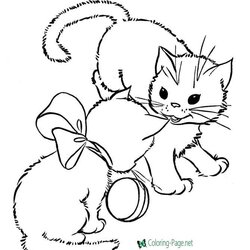 Admirable Cat Coloring Pages Printable Kids Cats Sheets