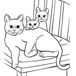 Marvelous Free Printable Cat Coloring Page For Kids Home Pages