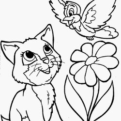 The Highest Standard February Free Coloring Sheet Printable Pages Cat